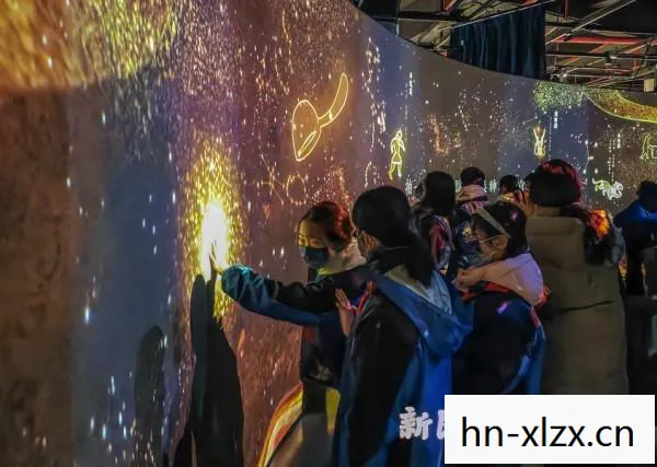 新维加斯代码大全，新维加斯，一场科技与文化的盛宴