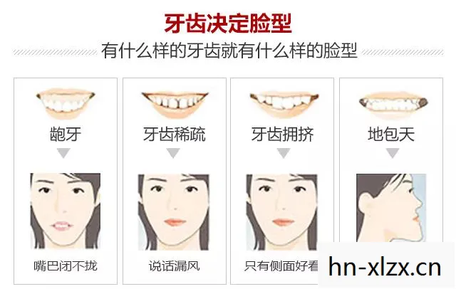 探索Sheltered背后的深层含义图片