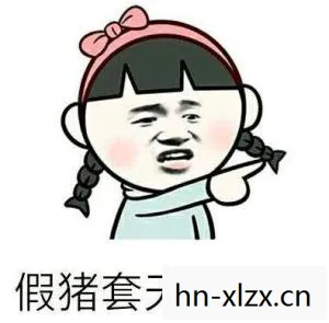 假猪套天下第一，真假猪套，时尚界的真假之争