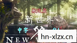 new world是什么意思，探索新世界，从虚拟到现实的奇妙旅程