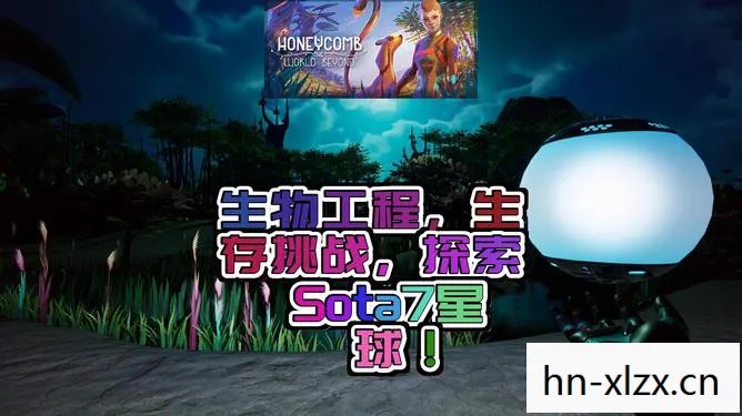 失落星球马拉松,失落星球,探索未知与寻找希望的旅程 失落星球马拉松,失落星球,探索未知与寻找希望的旅程