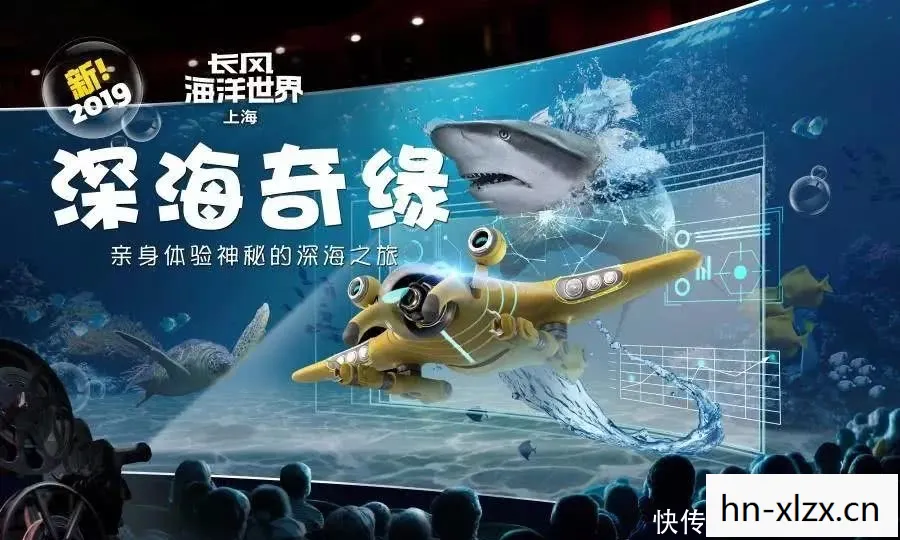 我的水族馆游戏，水族馆游戏，探索海洋世界的奇妙之旅