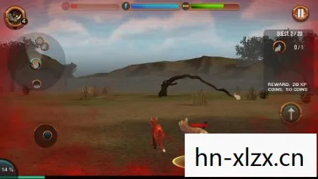 丛林之狐攻略视频,丛林之狐,探索未知世界的生存指南 丛林之狐攻略视频,丛林之狐,探索未知世界的生存指南