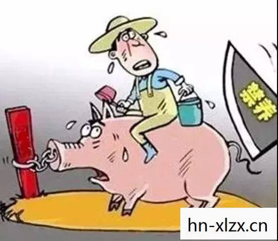 养了个羊第二关怎么过视频图片