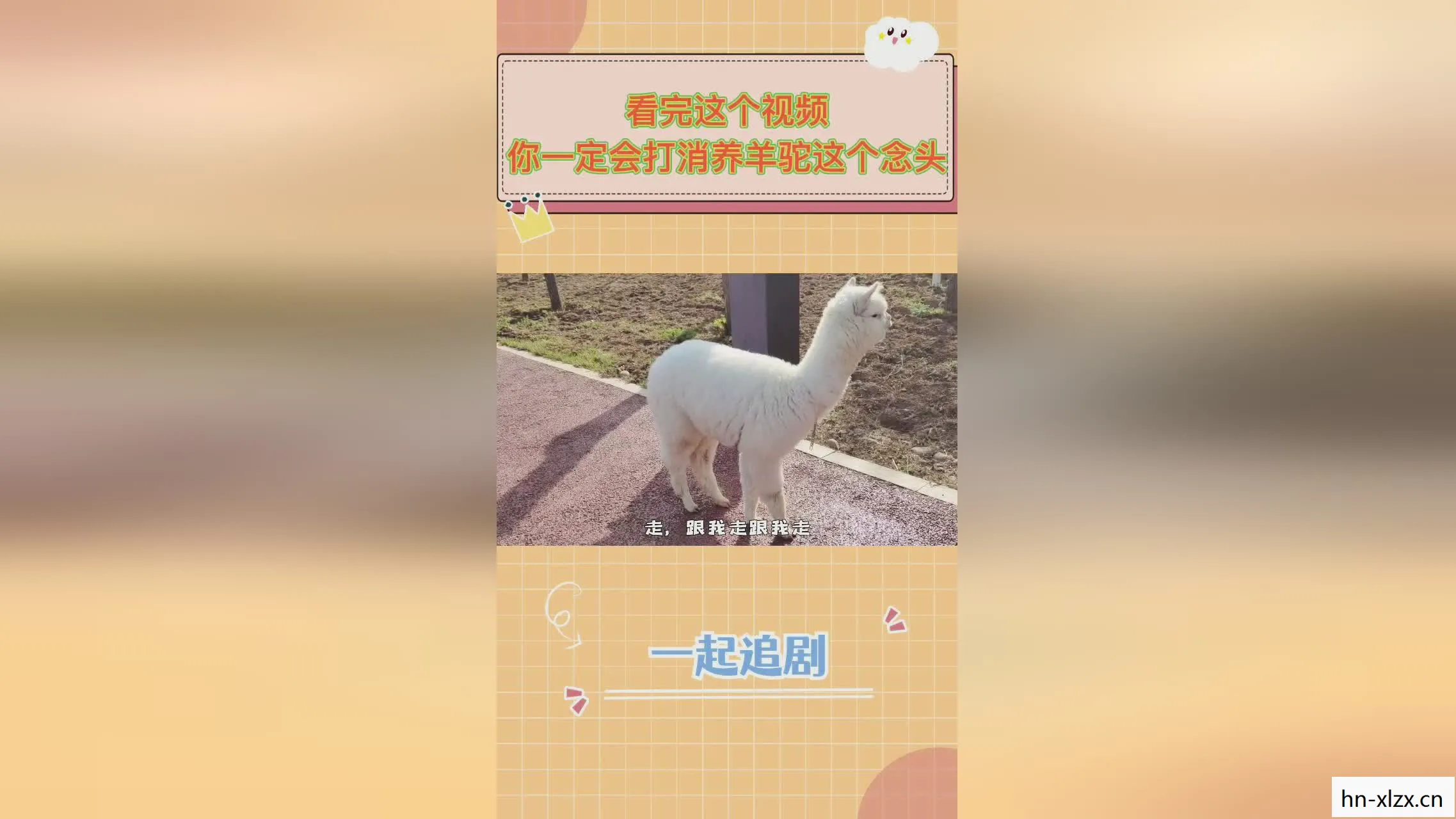 养了个羊第二关怎么过视频,养了个羊第二关攻略,解锁新挑战,轻松过关! 养了个羊第二关怎么过视频,养了个羊第二关攻略,解锁新挑战,轻松过关!