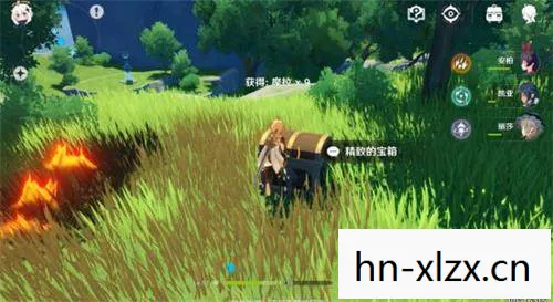 原神蒲公英籽怎么获得，原神，蒲公英的约定
