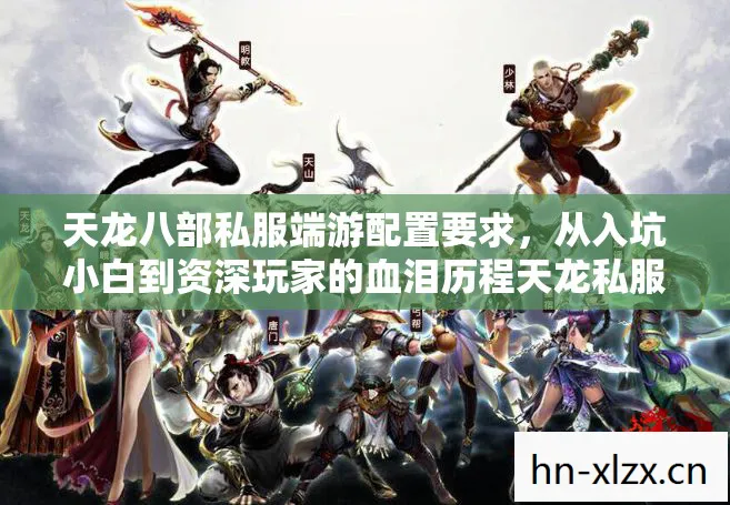 天龙八部私服端游配置要求，从入坑小白到资深玩家的血泪历程天龙私服