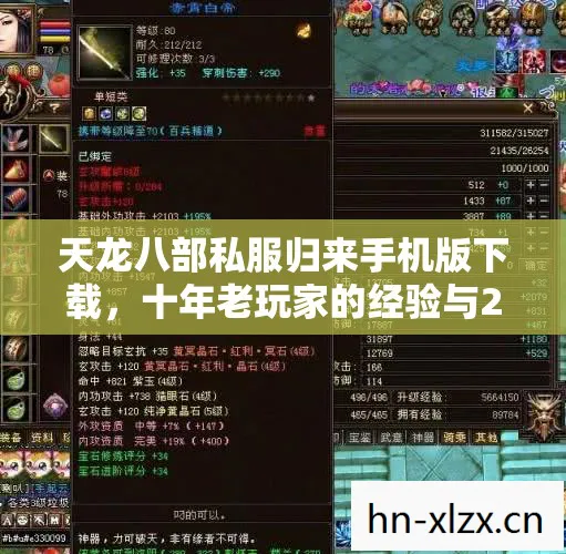 十年老玩家的经验与2026年私服圈新动态天龙八部私服图片