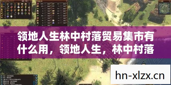 领地人生林中村落贸易集市有什么用图片
