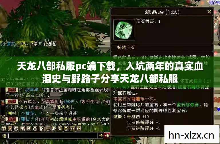 天龙八部私服pc端下载,入坑两年的真实血泪史与野路子分享天龙八部私服 天龙八部私服pc端下载,入坑两年的真实血泪史与野路子分享天龙八部私服