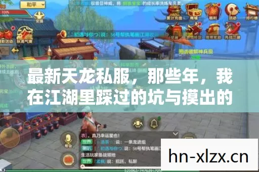 我在江湖里踩过的坑与摸出的野路子图片