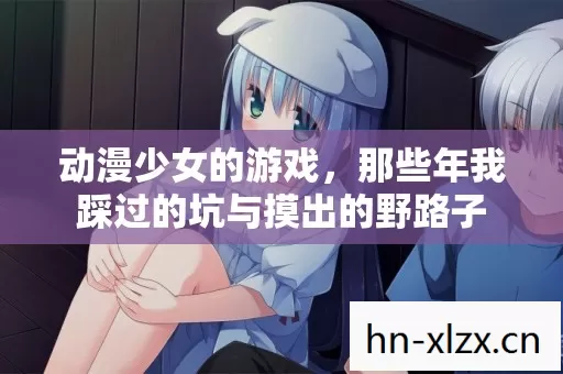 那些年我踩过的坑与摸出的野路子图片