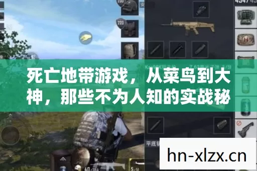 那些不为人知的实战秘籍大公开图片