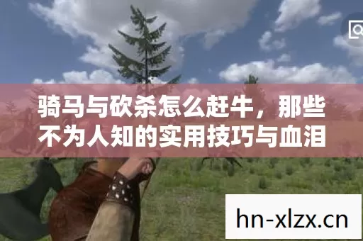 那些不为人知的实用技巧与血泪教训图片