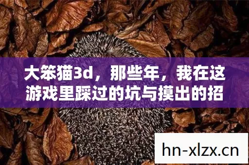 我在这游戏里踩过的坑与摸出的招图片