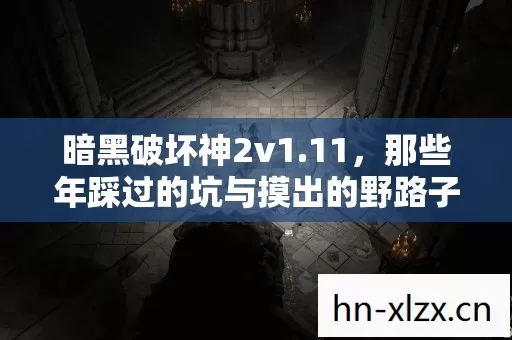 那些年踩过的坑与摸出的野路子图片
