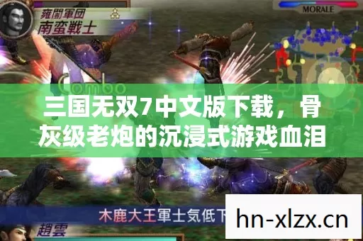 三国无双7中文版下载,骨灰级老炮的沉浸式游戏血泪史与私藏指南 三国无双7中文版下载,骨灰级老炮的沉浸式游戏血泪史与私藏指南