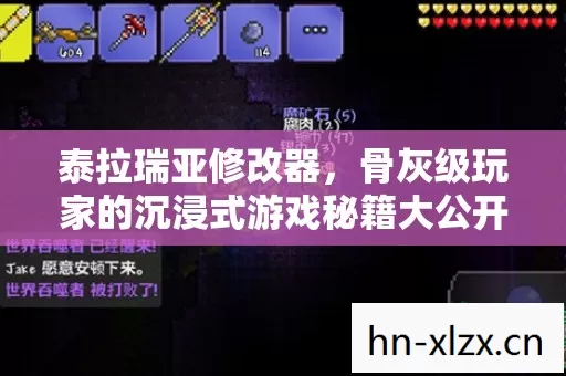 泰拉瑞亚修改器,骨灰级玩家的沉浸式游戏秘籍大公开 泰拉瑞亚修改器,骨灰级玩家的沉浸式游戏秘籍大公开