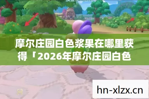 摩尔庄园白色浆果在哪里获得「2026年摩尔庄园白色浆果在哪里获得热度榜,Top5高人气服实测,避开90%新手陷阱」 摩尔庄园白色浆果在哪里获得「2026年摩尔庄园白色浆果在哪里获得热度榜,Top5高人气服实测,避开90%新手陷阱」