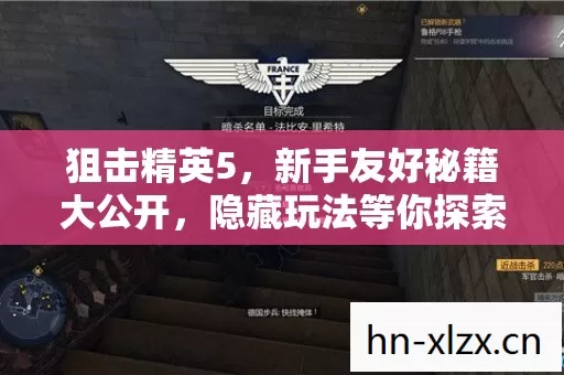 新手友好秘籍大公开图片