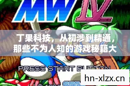 丁果科技,从初涉到精通,那些不为人知的游戏秘籍大揭秘 丁果科技,从初涉到精通,那些不为人知的游戏秘籍大揭秘
