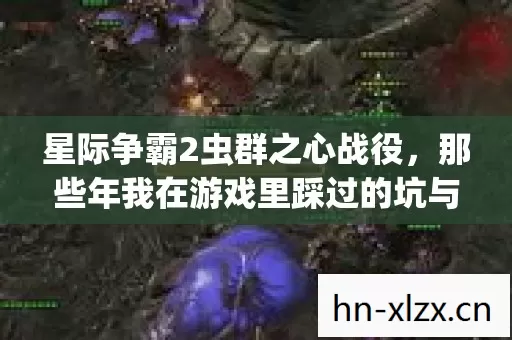 星际争霸2虫群之心战役,那些年我在游戏里踩过的坑与摸出的野路子 星际争霸2虫群之心战役,那些年我在游戏里踩过的坑与摸出的野路子