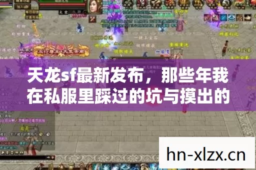 那些年我在私服里踩过的坑与摸出的野路子图片