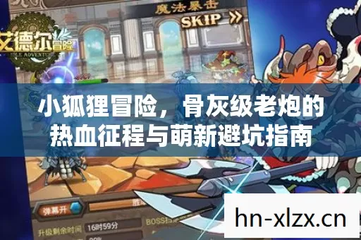 骨灰级老炮的热血征程与萌新避坑指南图片