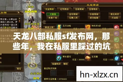 我在私服里踩过的坑与摸出的门道图片