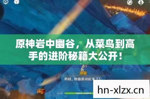 从菜鸟到高手的进阶秘籍大公开图片