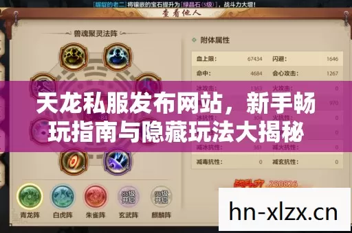 新手畅玩指南与隐藏玩法大揭秘图片