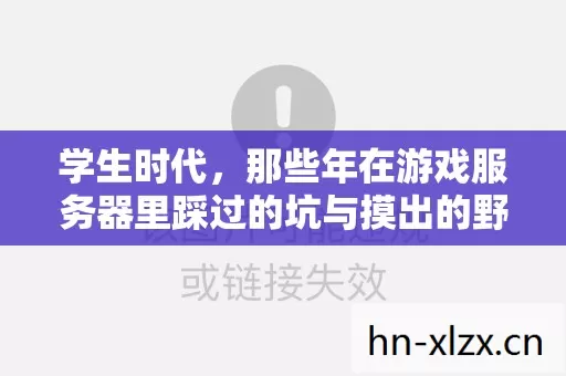 学生时代,那些年在游戏服务器里踩过的坑与摸出的野路子 学生时代,那些年在游戏服务器里踩过的坑与摸出的野路子