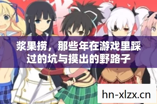 浆果捞,那些年在游戏里踩过的坑与摸出的野路子 浆果捞,那些年在游戏里踩过的坑与摸出的野路子
