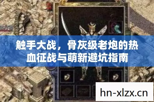 骨灰级老炮的热血征战与萌新避坑指南图片