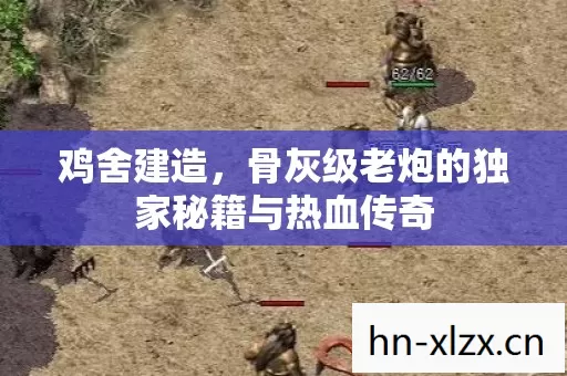 鸡舍建造,骨灰级老炮的独家秘籍与热血传奇 鸡舍建造,骨灰级老炮的独家秘籍与热血传奇