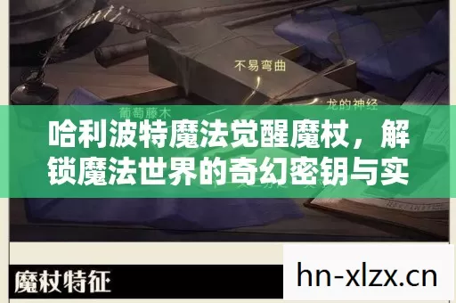 解锁魔法世界的奇幻密钥与实战秘籍图片