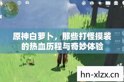 那些打怪摸装的热血历程与奇妙体验图片