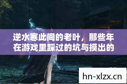 逆水寒此间的老叶,那些年在游戏里踩过的坑与摸出的野路子 逆水寒此间的老叶,那些年在游戏里踩过的坑与摸出的野路子
