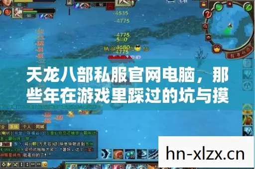 天龙八部私服官网电脑,那些年在游戏里踩过的坑与摸出的野路子 天龙八部私服官网电脑,那些年在游戏里踩过的坑与摸出的野路子