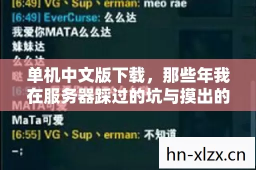 那些年我在服务器踩过的坑与摸出的野路子图片