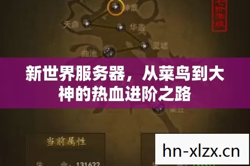 从菜鸟到大神的热血进阶之路图片