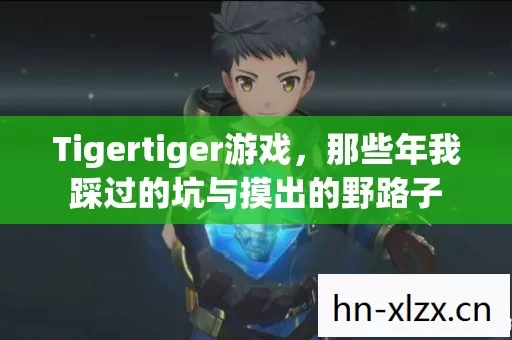 那些年我踩过的坑与摸出的野路子图片