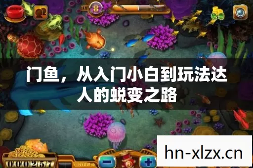 门鱼,从入门小白到玩法达人的蜕变之路 门鱼,从入门小白到玩法达人的蜕变之路
