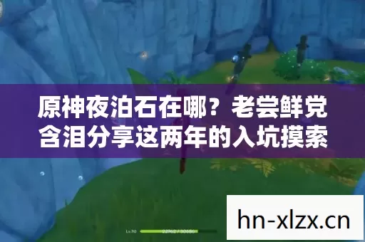 原神夜泊石在哪?老尝鲜党含泪分享这两年的入坑摸索血泪史! 原神夜泊石在哪?老尝鲜党含泪分享这两年的入坑摸索血泪史!