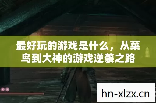 最好玩的游戏是什么,从菜鸟到大神的游戏逆袭之路 最好玩的游戏是什么,从菜鸟到大神的游戏逆袭之路