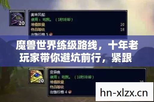 魔兽世界练级路线,十年老玩家带你避坑前行,紧跟 2026 年私服圈新动态 魔兽世界练级路线,十年老玩家带你避坑前行,紧跟 2026 年私服圈新动态