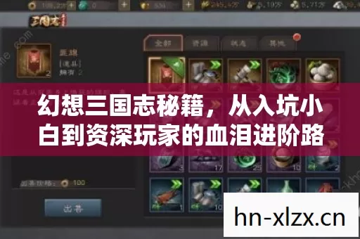 幻想三国志秘籍,从入坑小白到资深玩家的血泪进阶路 幻想三国志秘籍,从入坑小白到资深玩家的血泪进阶路