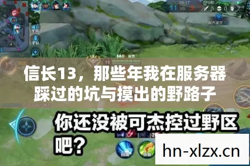那些年我在服务器踩过的坑与摸出的野路子图片