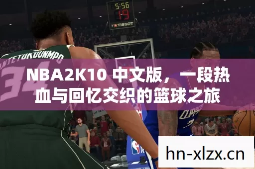 一段热血与回忆交织的篮球之旅图片