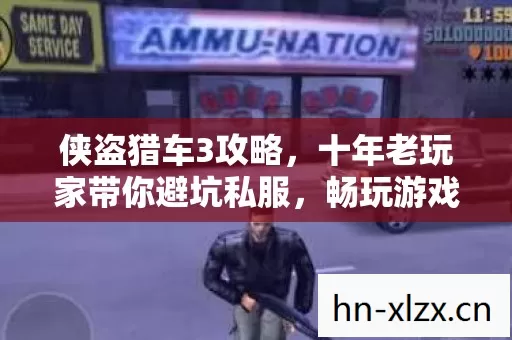 十年老玩家带你避坑私服图片